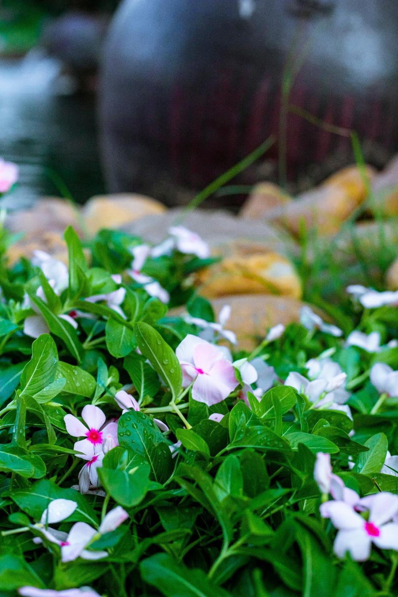 Gold Coast Hotel Resort & Spa Ðồng Hới Buitenkant foto