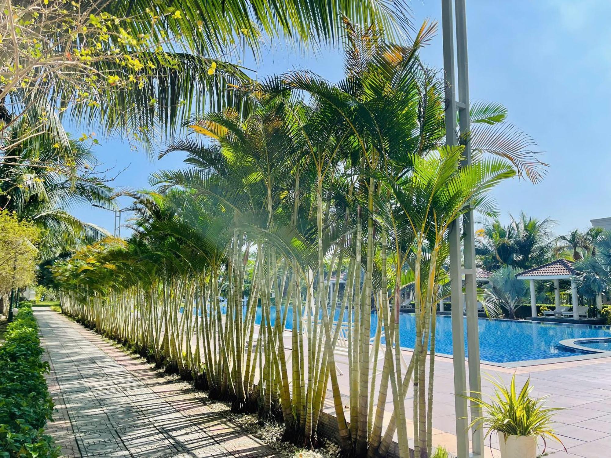 Gold Coast Hotel Resort & Spa Ðồng Hới Buitenkant foto